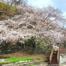 함안면공설운동장 이미지