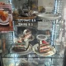스위츠포레스트 이미지