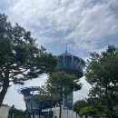 고성문화의집 | <고성 아이와 가볼만한 곳> 비치코밍 체험+송지호 주변 자전거타기+타워카페 "송지호관망타워"