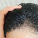 다이소새치템내돈내산) 모다모다 새치올커버스틱, 새치타투자이언트브러쉬,