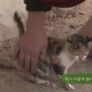 자연인 이미지