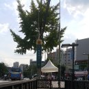 노량진근린공원 진입로 이미지