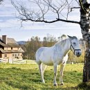 털보농장 이미지