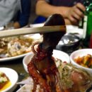 목포세발낙지 이미지