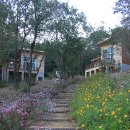 율리 휴양촌 이미지