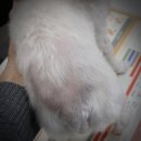 훈 동물병원 이미지