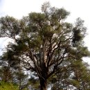 부곡2리 이미지