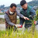 함평영화학교 이미지