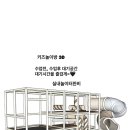 피어나라 태권도 이미지