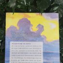 이독 | [독서후기] '철학은 날씨를 바꾼다' — 삶의 모습 하나 하나에 스며있는 지혜들