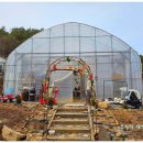 오공주농장 네이버블로그