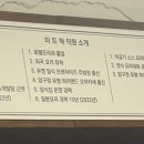 미트혁 이미지