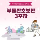 무지개장 이미지
