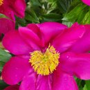 예닮목장 이미지