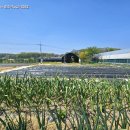 남전농장 이미지