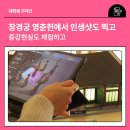 세종시청뒤편 | 창경궁 영춘헌에서 인생샷도 찍고 🫰🏻 증강현실도 체험하고 📺 (✔️11월 16일까지!!!)