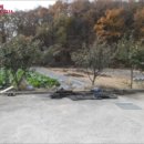 신산리-6 이미지