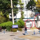 금정중학교 티스토리