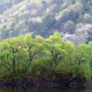 고향생각 이미지