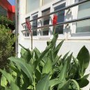 삼계초등학교 이미지