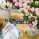 그림책교육지도사(3급) | 그림책원예지도사1급 과정 궁금증 해결.프롬나드와 함께 클릭!