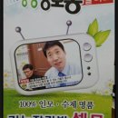 셀모가발 이미지