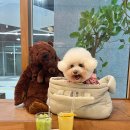 광교중앙(아주대)역 버스환승센터 | 광교중앙역 경기도청 카페 추천 '듀엣커피 광교점'