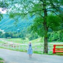 동막골목장 이미지