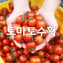 만3,4세 동화프로젝트/누리 과정 연계 사회관계 의사소통/과학관 우주착시 현상/어린이 과학관 과학탐험대 활동 이미지