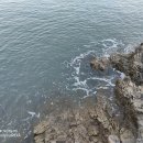 구불8길(고군산길) 이미지