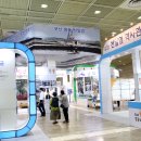 신안소금