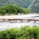 동강의원 이미지