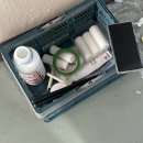 트립트랩 친환경 페인트 헤이레이 발레로즈 컬러로 서린핑크 만든 후기