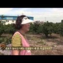 남원읍-72 네이버블로그