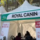 원광 | 원광대학교 취업박람회 후기