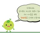 콩이랜드 이미지