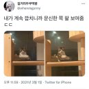 드루와금계찜닭 이미지