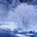 스위스보청기 이미지