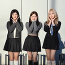 리즈 이미지