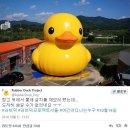 대왕오리 이미지