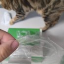 깡패고양이 파주점 | 파주보안관 Pick 일회용 비닐장갑 에브리홈스토어 최저가 일회용 장갑1000매 후기