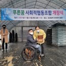 푸른나무사회적협동조합 네이버블로그