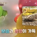 지혜헤어 이미지