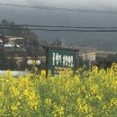 풀향기 휴양펜션 이미지