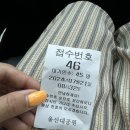 울산대공원 아쿠아시스 수영장 성수기시즌 물놀이