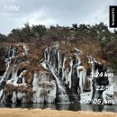 장안자동차병원 | 2026년 해오름달 (1)