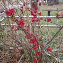 구평보건진료소 이미지