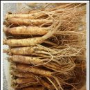 금산인삼 이미지