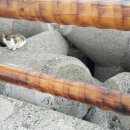 동호해비치 이미지