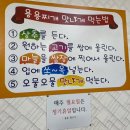 용용생고기 | 문화동 점심특선 고기 듬뿍 짜글이 맛집 풍자 또간집 : 용용생고기✨